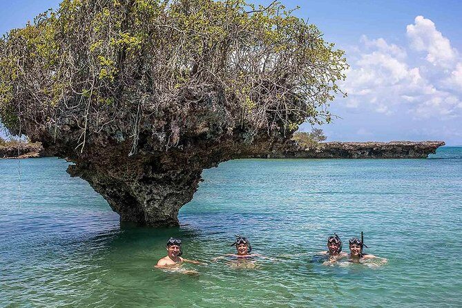 Full-day Safari Blue Trip in Zanzibar with Lunch buffet - What to Expect on the Safari Blue Tour