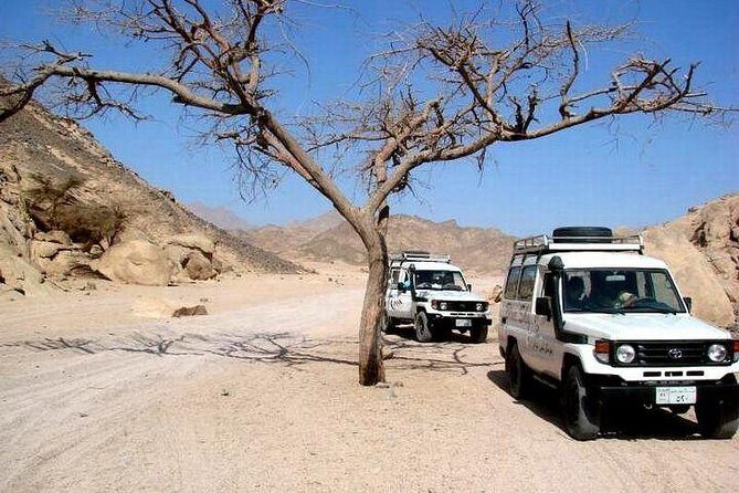 Full-Day Safari Desert Tour in Hurghada by Jeep - Key Points