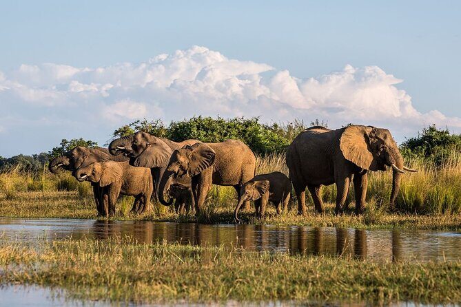 Full Day Safari From Durban to Hluhluwe-Imfolozi Game Reserve - FAQ