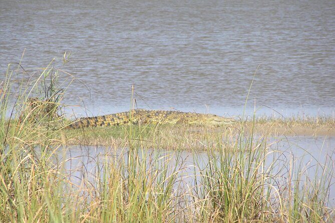 Full-Day Safari in Maputo National Park - Practical Details and Tips