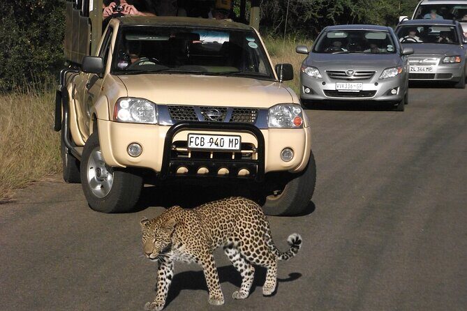 Full Day Safari Shared Tour at Kruger National Park - Itinerary Breakdown: What to Expect