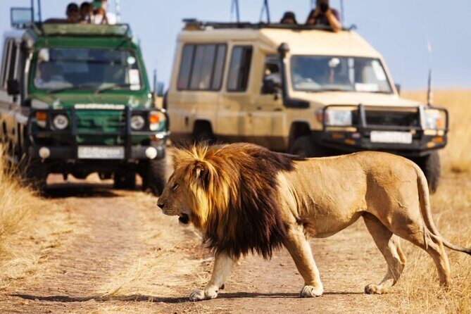 Full-Day Safari to Tala Game Reserve, Phezulu Safari Park and Natal from Durban - Authenticity and Reviewer Insights