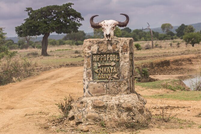 Full-Day Safari Tour from Mikumi National Park of Zanzibar - Final Thoughts