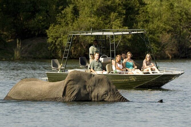 Full-day Safari Tour in Chobe - FAQ