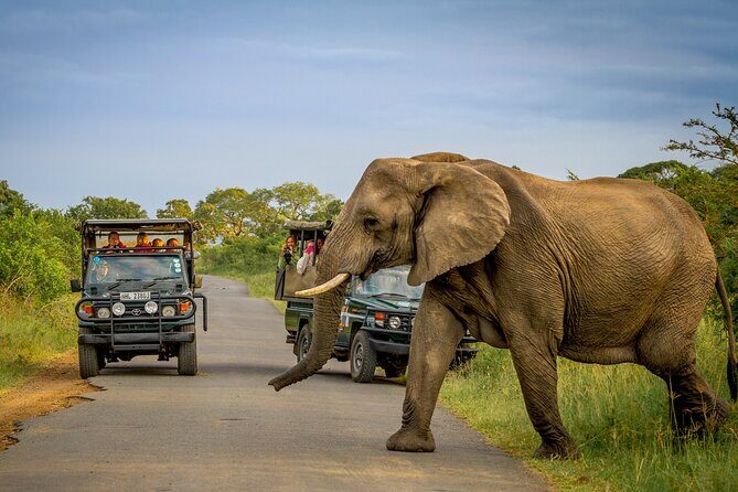 Full Day Safari Tour in Hluhluwe Imfolozi Park - Key Points