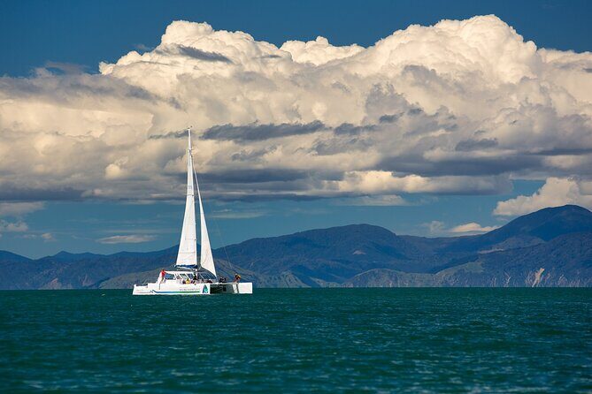 Full-Day Sailing Adventure in the Abel Tasman National Park - Final Thoughts