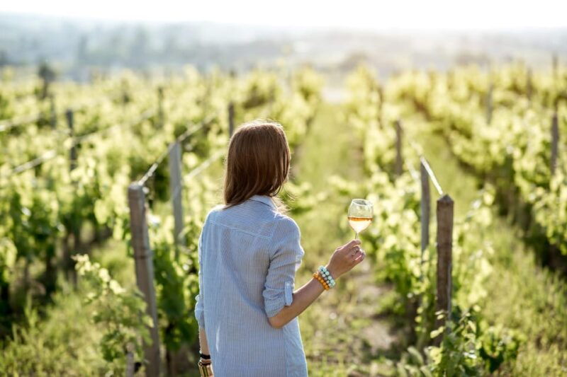 full-day-saint-emilion-village-undergrounds-and-chateaux-2