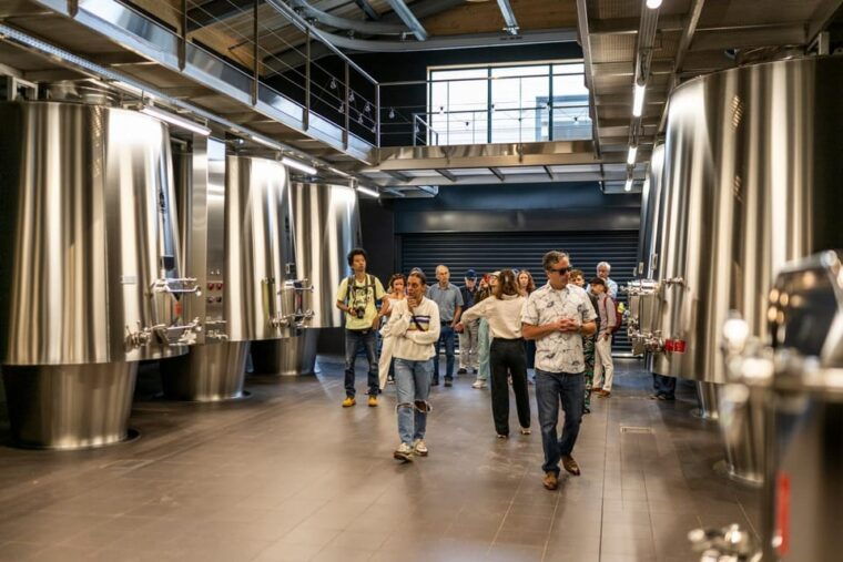 full-day-saint-emilion-village-undergrounds-and-chateaux-2