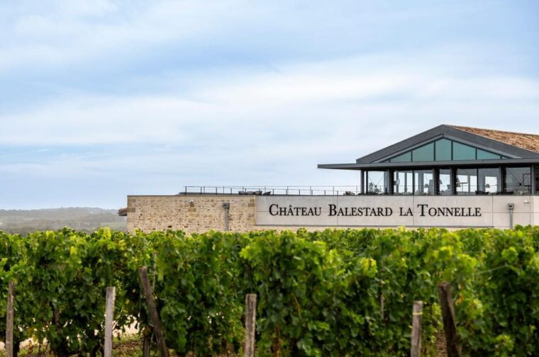 full-day-saint-emilion-village-undergrounds-and-chateaux-2
