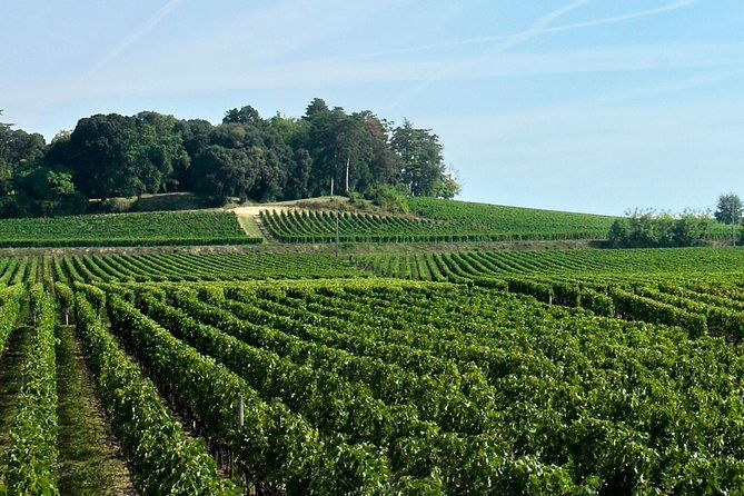 full-day-saint-emilion-village-undergrounds-and-chateaux
