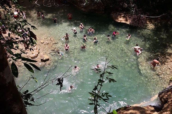 full-day-samana-whales-from-punta-cana-with-waterfall-bacardi-island-lunch