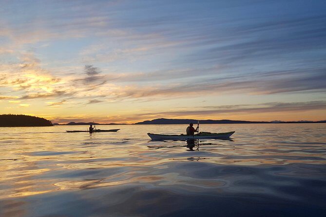 Full Day San Juan Island Kayaking Adventure - Lime Kiln Point State Park – Orca Viewing Heaven