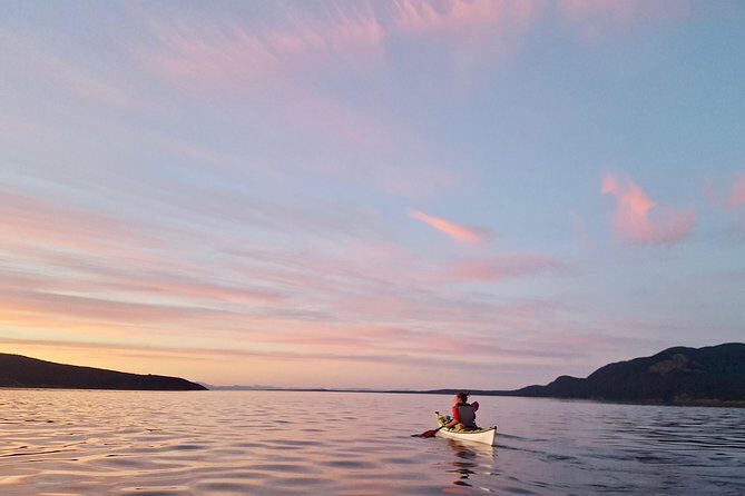 Full Day San Juan Island Kayaking Adventure - Return and Reflection