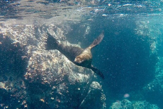 full-day-santa-fe-and-playa-escondida-with-snorkeling-and-lunch-included