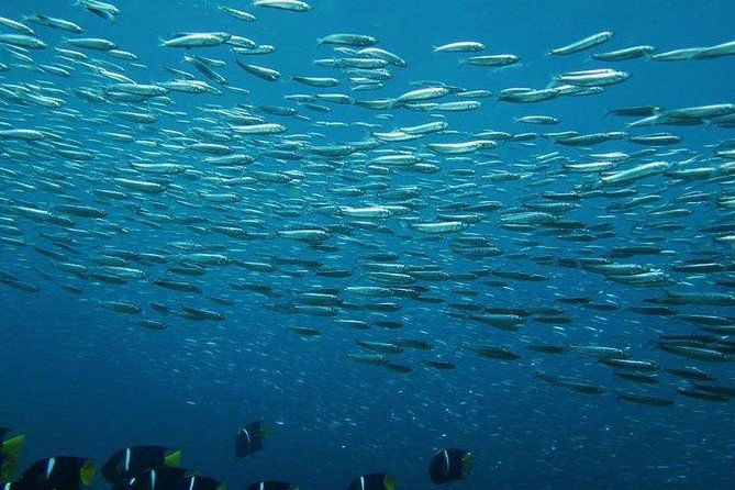 full-day-santa-fe-and-playa-escondida-with-snorkeling-and-lunch-included