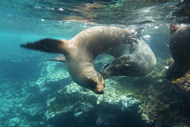 full-day-santa-fe-playa-escondida-snorkeling-tour