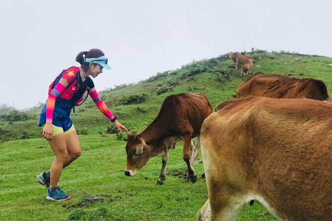 Full Day Sapa Cow Hill Trekking Tour - Key Points