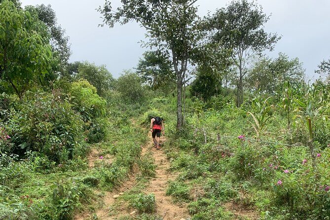 Full Day Sapa Cow Hill Trekking Tour - Practical Tips for Participants