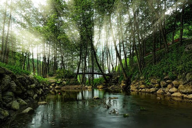 full-day-sapanca-and-masukiye-tour-with-lunch