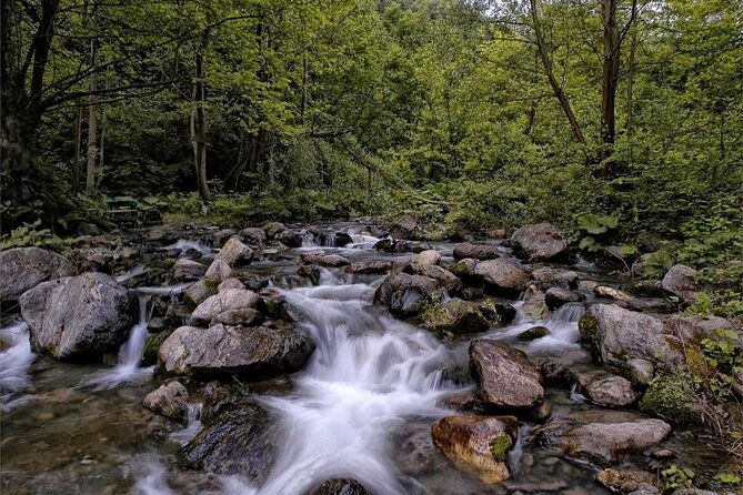 full-day-sapanca-and-masukiye-tour-with-lunch