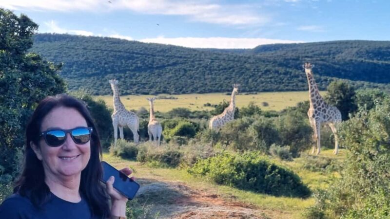 Full-Day Schotia Game Reserve & Giraffe Walk (Open 4x4) - Detailed Breakdown of the Itinerary