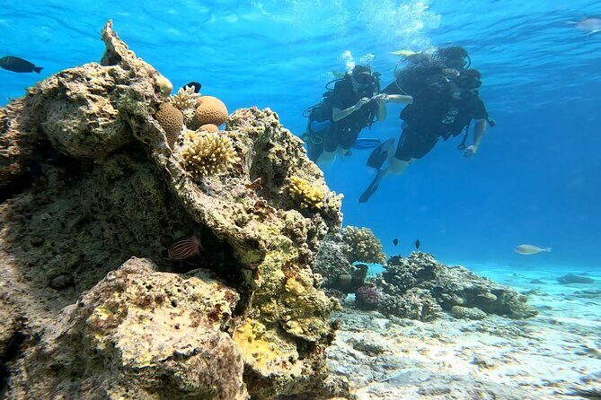 Full Day Scuba Diving Boat Trip for Professional Divers_Hurghada - Key Points