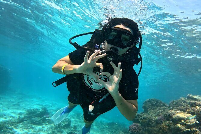 Full Day Scuba Diving Boat Trip for Professional Divers_Hurghada - The Bottom Line