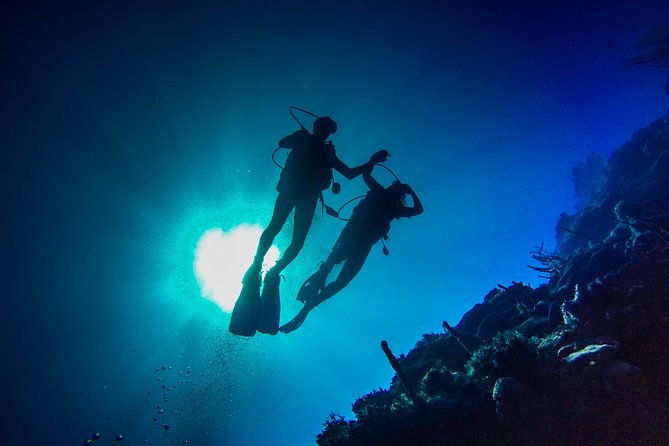 full-day-scuba-diving-catalina-island-tour-from-bavaro