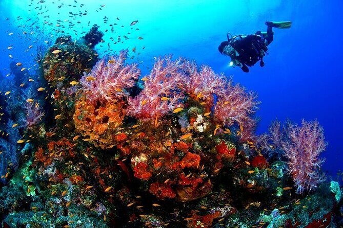 Full Day Scupa Diving And Snorkeling sea trip activity - Hurghada - An In-Depth Look at the Full Day Sea Trip in Hurghada