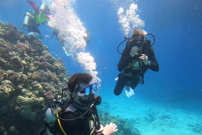 Full Day Scupa Diving And Snorkeling sea trip activity - Hurghada - Authentic Experiences and Hidden Gems