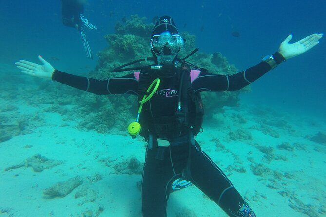 Full Day Scupa Diving And Snorkeling sea trip activity - Hurghada - The Sum Up: Who Will Love This Experience?