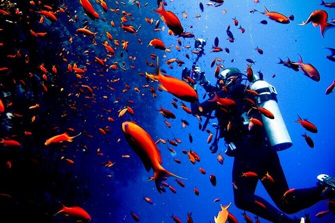Full Day Scupa Diving And Snorkeling sea trip activity - Hurghada - FAQ