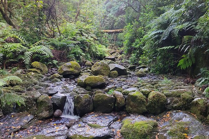 full-day-self-guided-hike-in-caldeirao-verde-levada
