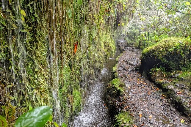 full-day-self-guided-hike-in-caldeirao-verde-levada