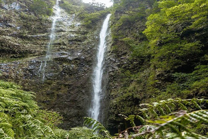 full-day-self-guided-hike-in-caldeirao-verde-levada