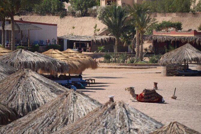 Full day Semi Private Sharm El Naga National Park from Hurghada - Exploring the Full Day Semi Private Sharm El Naga National Park from Hurghada