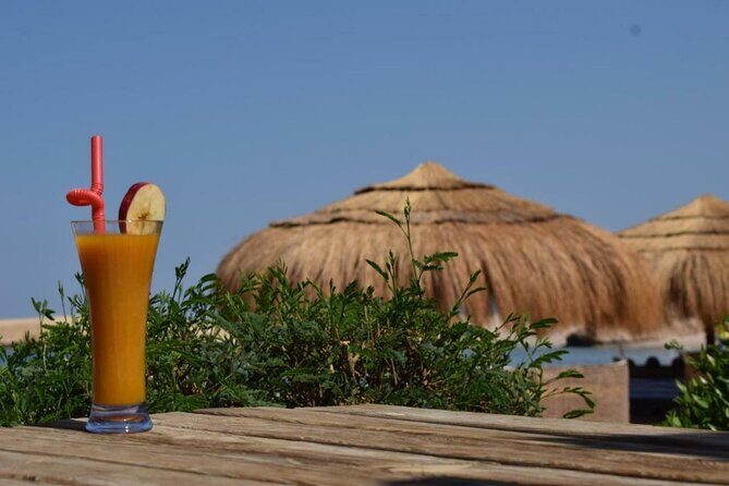Full day Semi Private Sharm El Naga National Park from Hurghada - A Close Look at the Sharm El Naga Experience