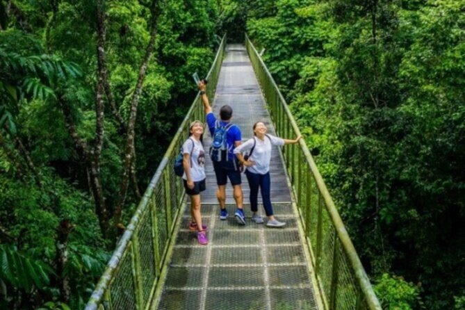 Full Day Sepilok Orangutan and Rainforest Discovery Centre Tour - The Sum Up