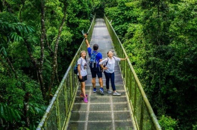 Full Day Sepilok Orangutan and Rainforest Discovery Centre Tour - FAQs