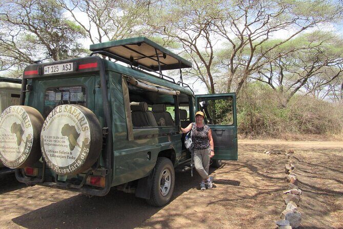 Full-Day Serengeti Tour from Mwanza - Practical Tips for the Trip
