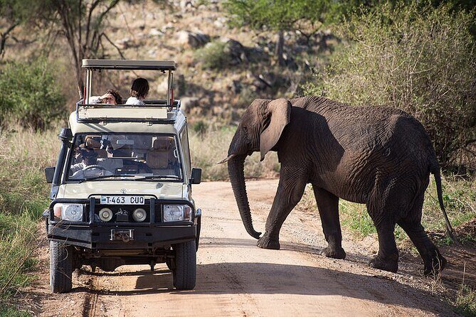 Full-Day Serengeti Tour from Mwanza - Why This Tour Could Be Perfect for You