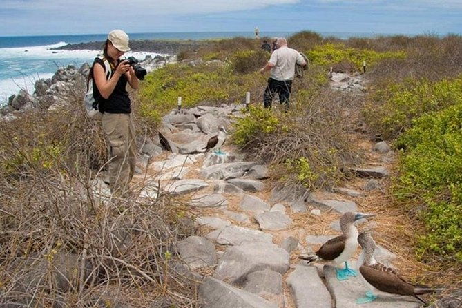 full-day-seymour-north-island-las-bachas