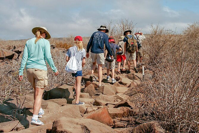 full-day-seymour-north-island-las-bachas