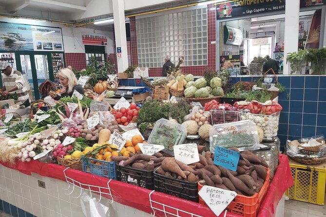 full-day-shared-guided-tour-in-setubal-2