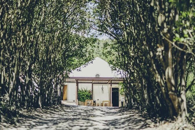 full-day-shared-guided-tour-in-setubal-2