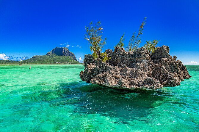 Full day Shared Speedboat Tour - South West Lagoon Dolphin Swim - Authentic Experiences & Caveats from Guests