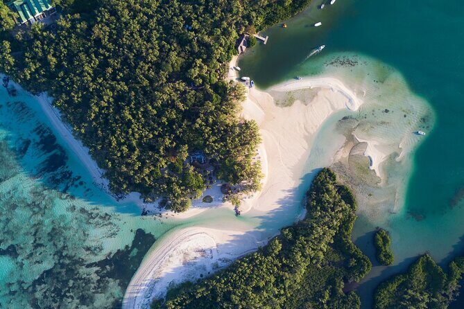 Full Day Shared Tour Catamaran to Ile Aux Cerfs - Who Is This Tour Best For?
