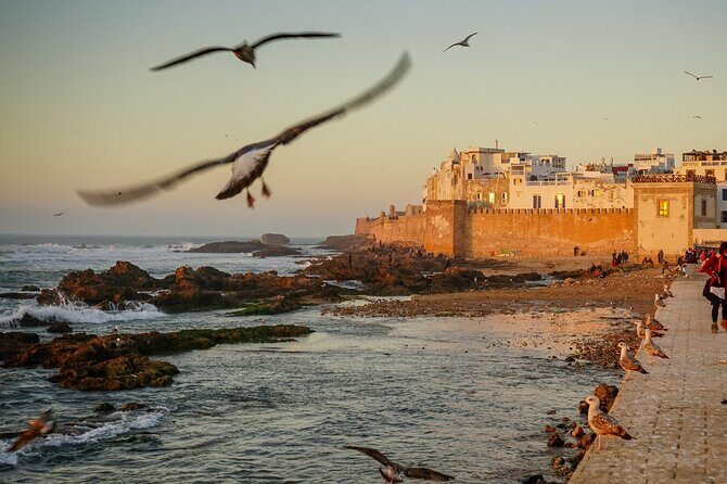 Full Day Shared Tour in Essaouira - Authentic Experiences from Past Travelers