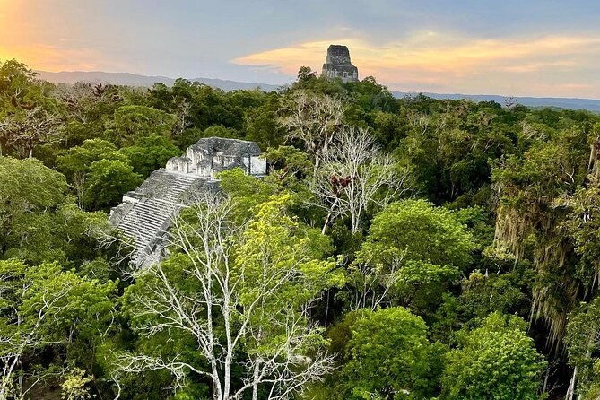 full-day-shared-tour-to-tikal-from-flores-peten-with-lunch