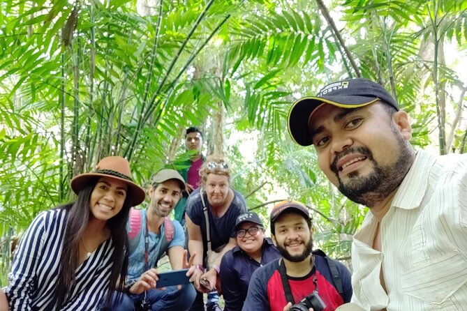 full-day-shared-tour-to-tikal-from-flores-peten-with-lunch